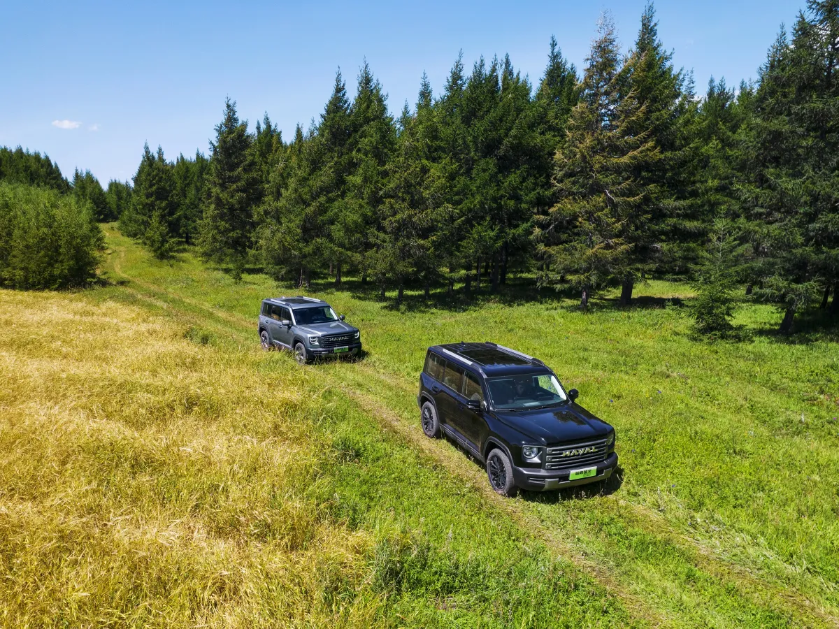 Haval Raptor,autocango,china used car exporter,china ev exporter,chinese used car exporter,chinese used ev exporter