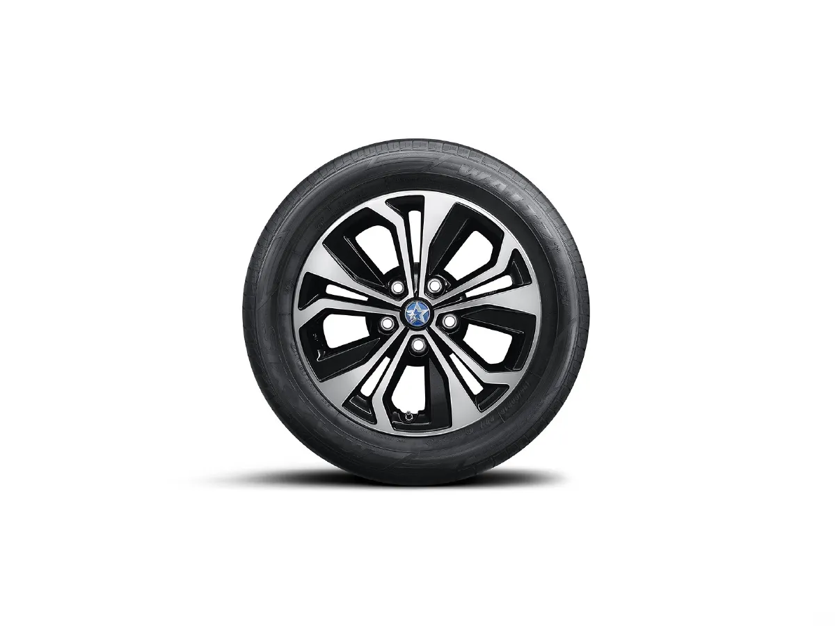 2023 Venucia D60 EV BEV 50KWH,autocango,china used car exporter,china ev exporter,chinese used car exporter,chinese used ev exporter