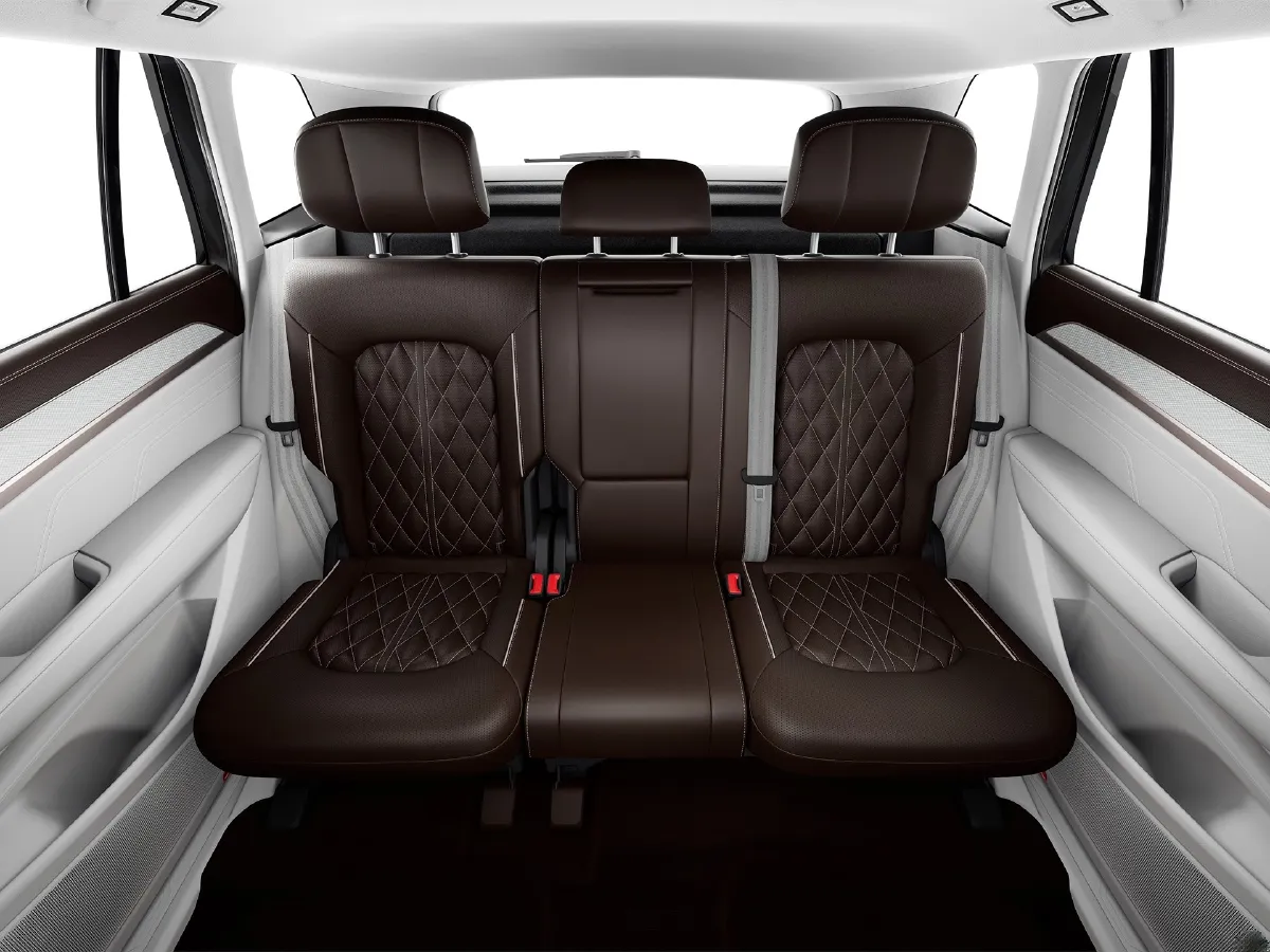 Volkswagen Tavendor,autocango,china used car exporter,china ev exporter,chinese used car exporter,chinese used ev exporter