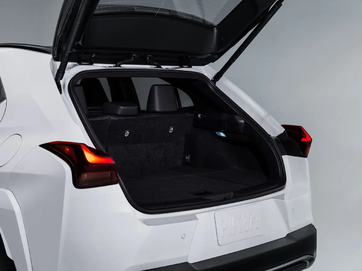 Lexus UX,autocango,china used car exporter,china ev exporter,chinese used car exporter,chinese used ev exporter