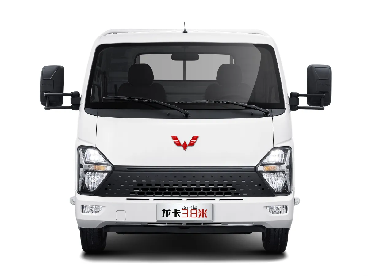 WuLing Loong Truck,autocango,china used car exporter,china ev exporter,chinese used car exporter,chinese used ev exporter
