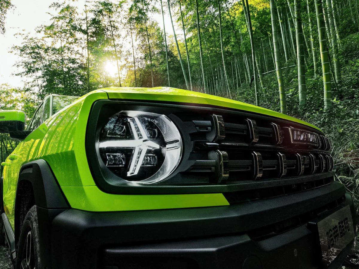 Haval X Dog,autocango,china used car exporter,china ev exporter,chinese used car exporter,chinese used ev exporter