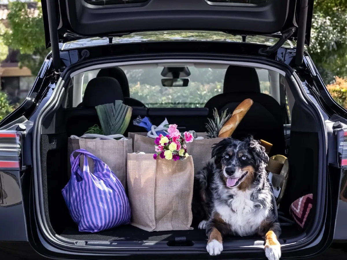 Tesla Model Y,autocango,china used car exporter,china ev exporter,chinese used car exporter,chinese used ev exporter