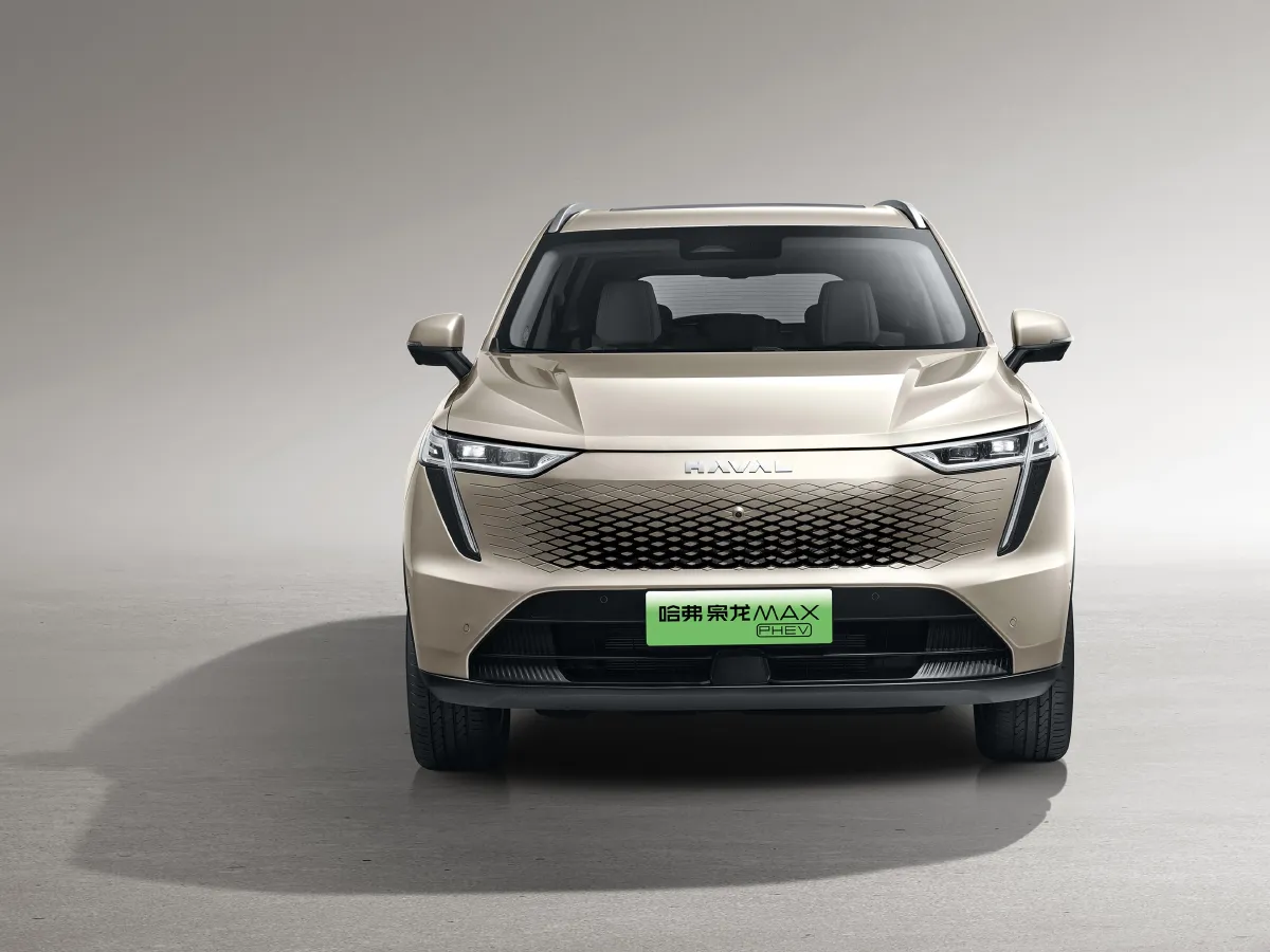 Haval Fierce Dragon MAX,autocango,china used car exporter,china ev exporter,chinese used car exporter,chinese used ev exporter