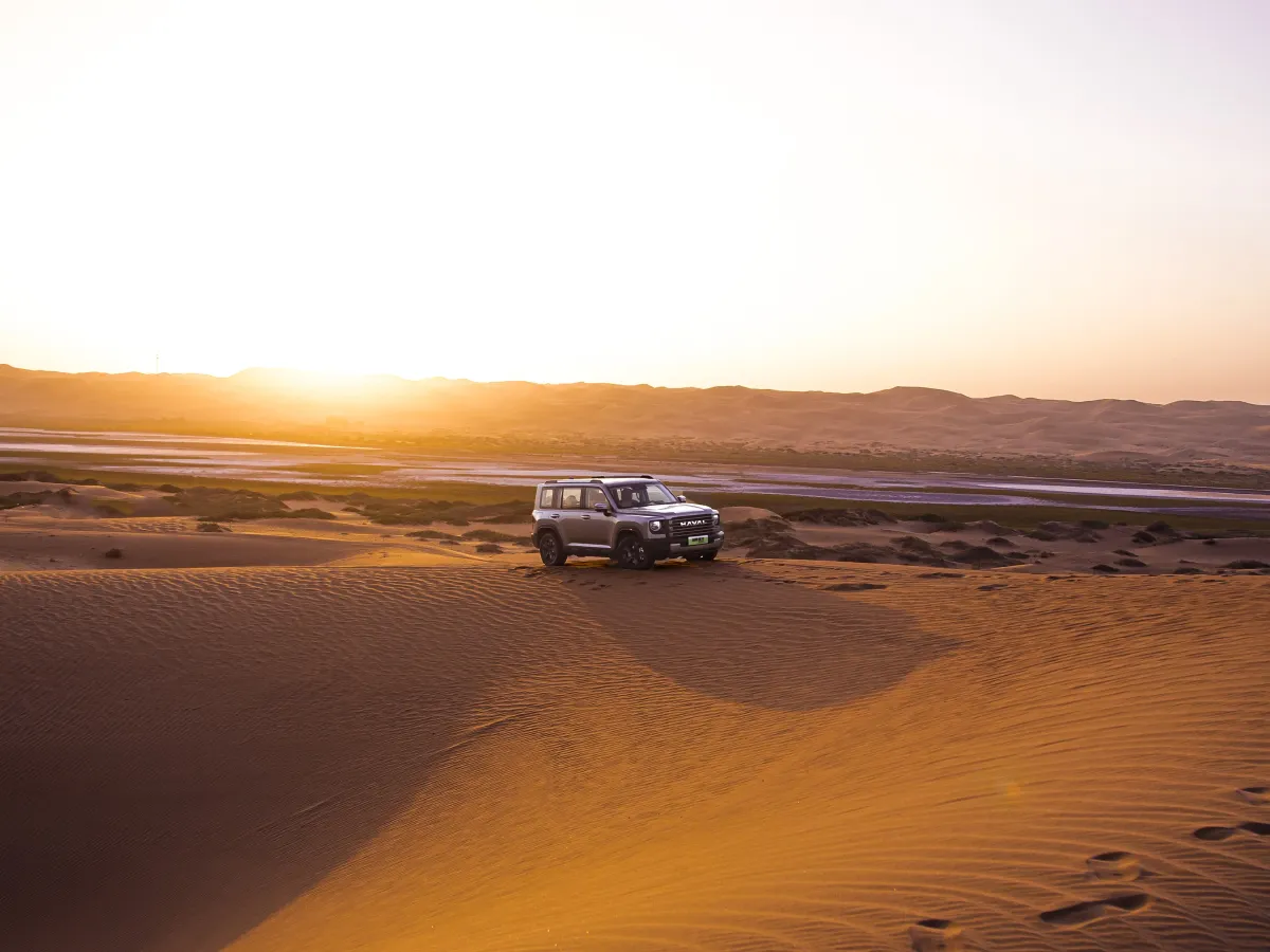 Haval Raptor,autocango,china used car exporter,china ev exporter,chinese used car exporter,chinese used ev exporter