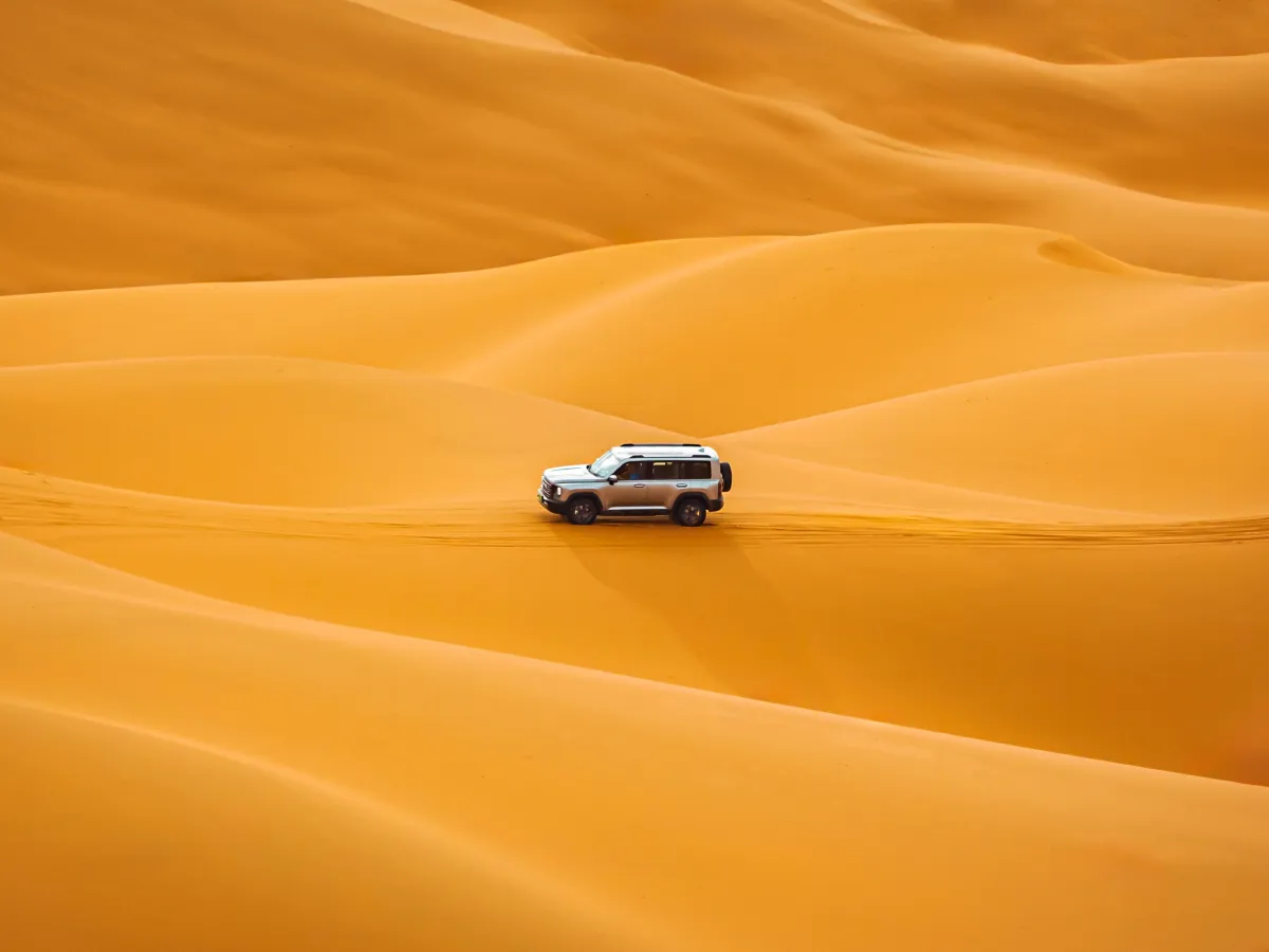 Haval Raptor,autocango,china used car exporter,china ev exporter,chinese used car exporter,chinese used ev exporter