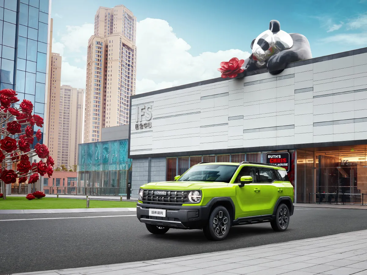 Haval X Dog,autocango,china used car exporter,china ev exporter,chinese used car exporter,chinese used ev exporter