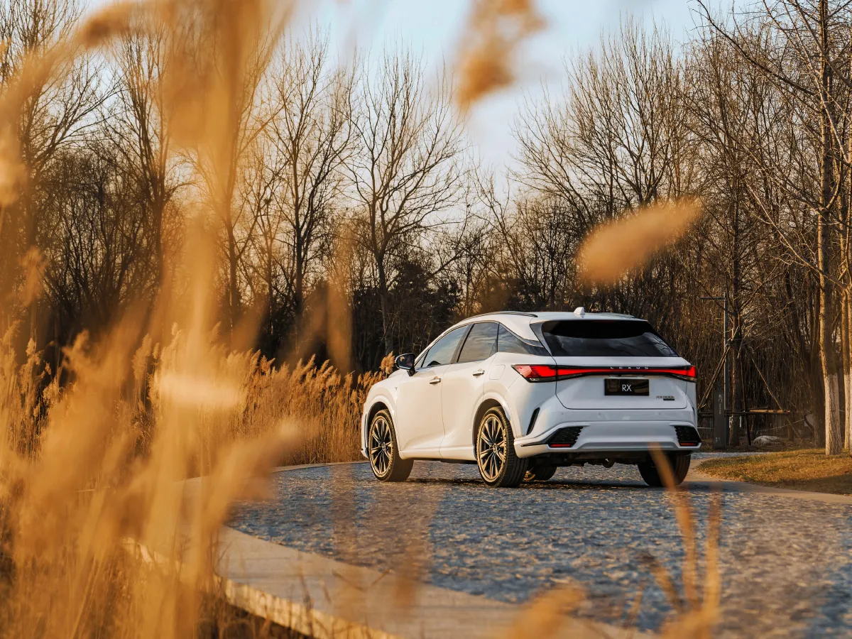 Lexus RX,autocango,china used car exporter,china ev exporter,chinese used car exporter,chinese used ev exporter