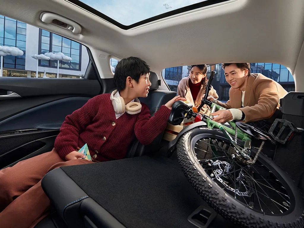 Buick Velite 6,autocango,china used car exporter,china ev exporter,chinese used car exporter,chinese used ev exporter