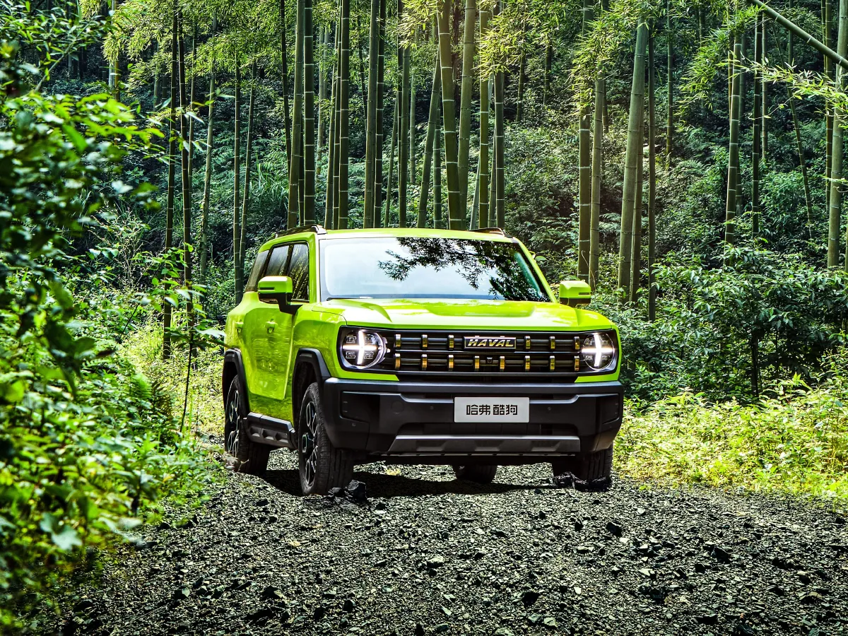 Haval X Dog,autocango,china used car exporter,china ev exporter,chinese used car exporter,chinese used ev exporter