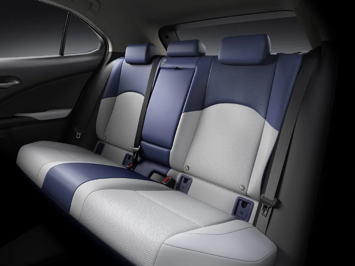 Lexus UX,autocango,china used car exporter,china ev exporter,chinese used car exporter,chinese used ev exporter