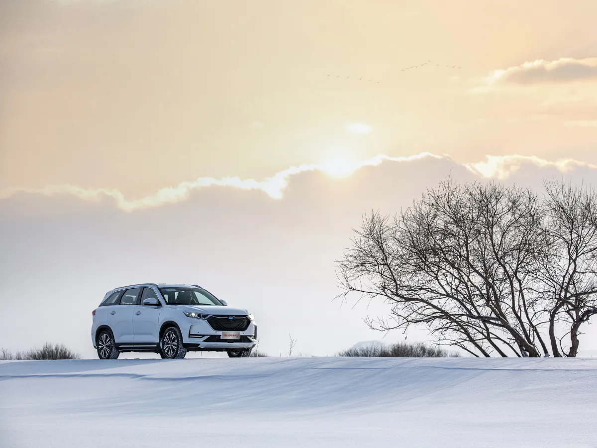 2021 ChangAn Oshan X7 1.5T 178HP L4 6MT,autocango,china used car exporter,china ev exporter,chinese used car exporter,chinese used ev exporter