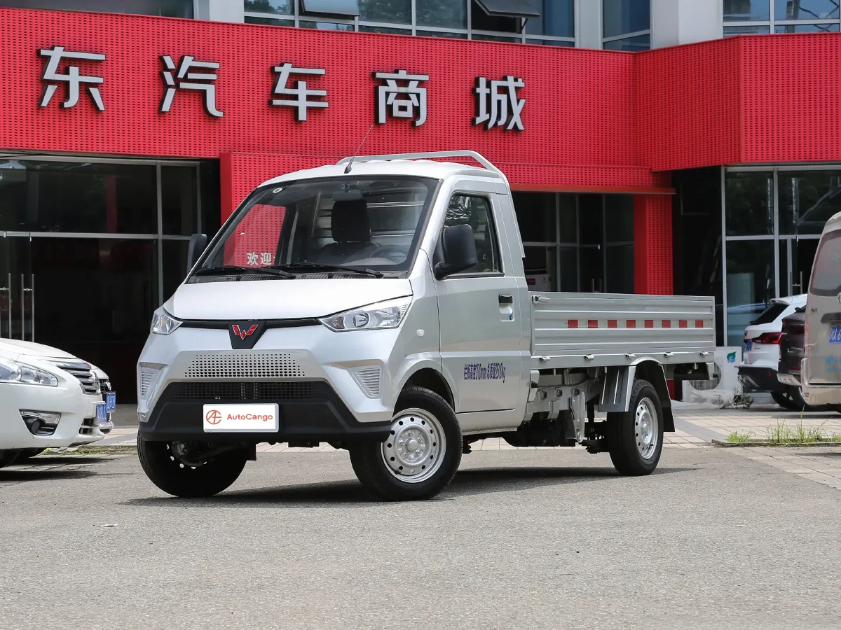 WuLing Electric Truck,autocango,china used car exporter,china ev exporter,chinese used car exporter,chinese used ev exporter