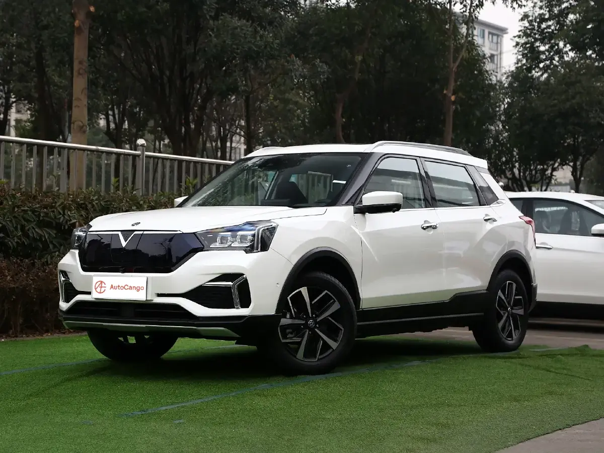 2020 Venucia T60 EV BEV 60.7KWH