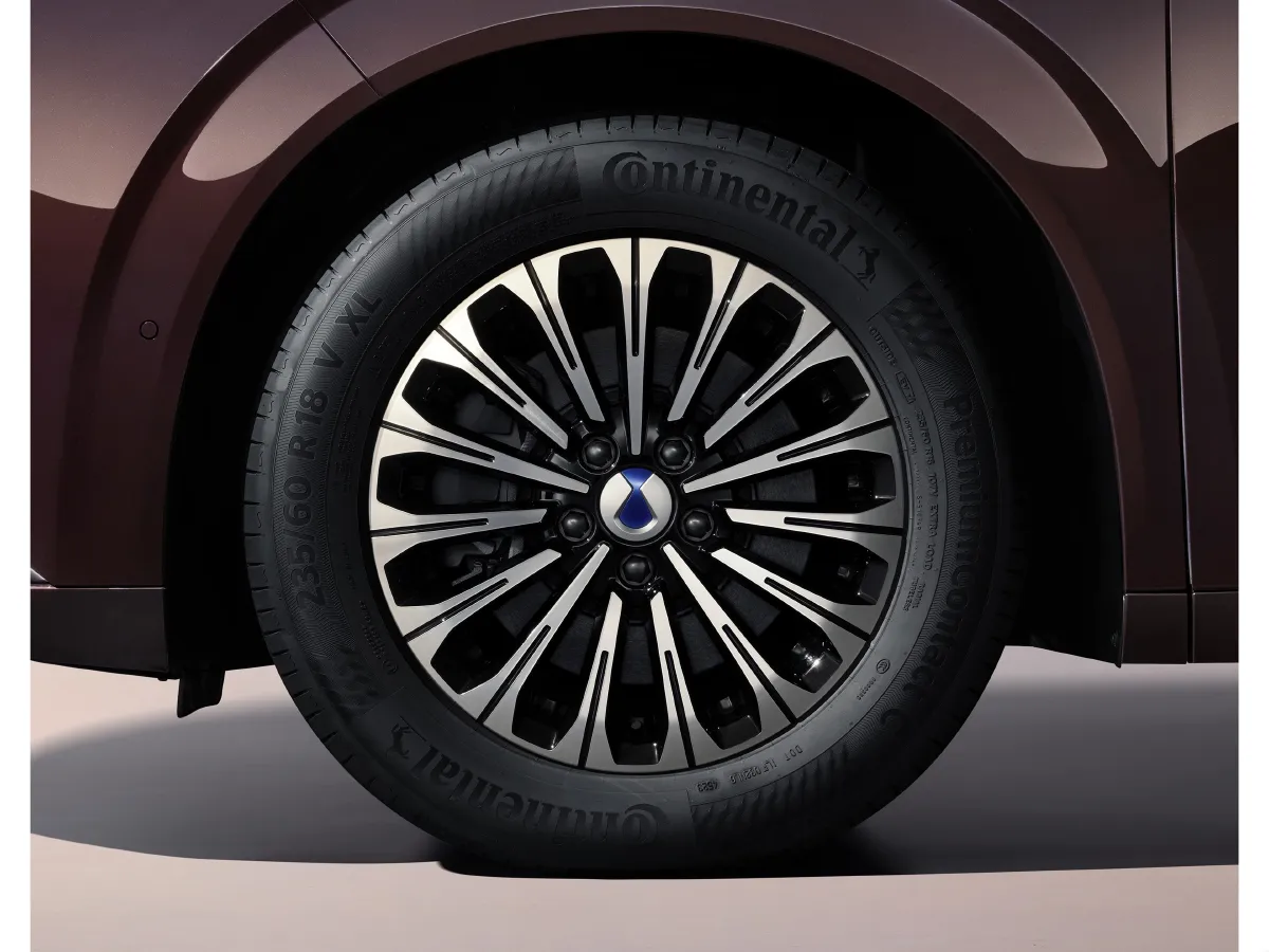 Denza D9,autocango,china used car exporter,china ev exporter,chinese used car exporter,chinese used ev exporter