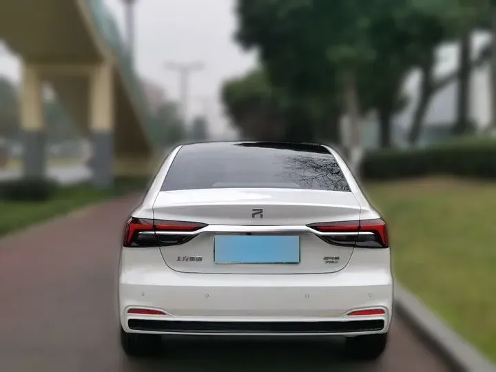 2021 Rising Auto ER6 BEV 69.9KWH,autocango,china used car exporter,china ev exporter,chinese used car exporter,chinese used ev exporter