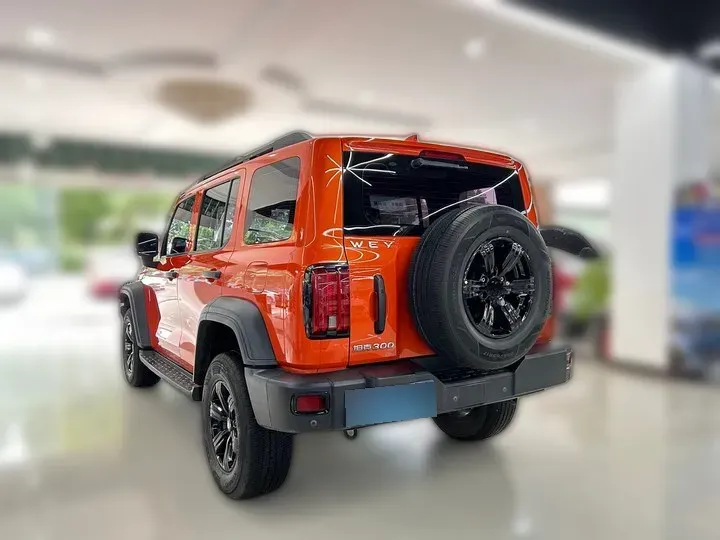 2021 Tank 300 2.0T 227HP L4 8AT,autocango,china used car exporter,china ev exporter,chinese used car exporter,chinese used ev exporter