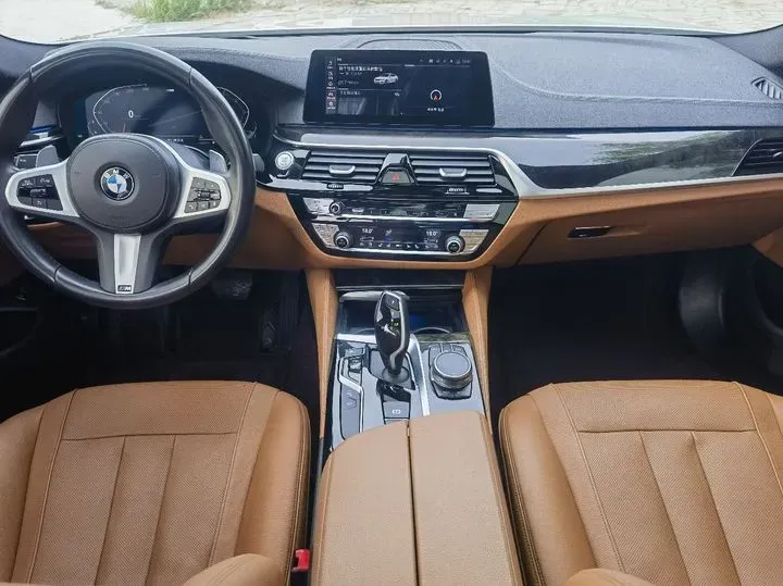 2020 BMW 5 Series 2.0T 252HP L4 8AT,autocango,china used car exporter,china ev exporter,chinese used car exporter,chinese used ev exporter