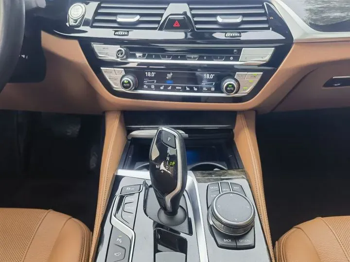 2020 BMW 5 Series 2.0T 252HP L4 8AT,autocango,china used car exporter,china ev exporter,chinese used car exporter,chinese used ev exporter