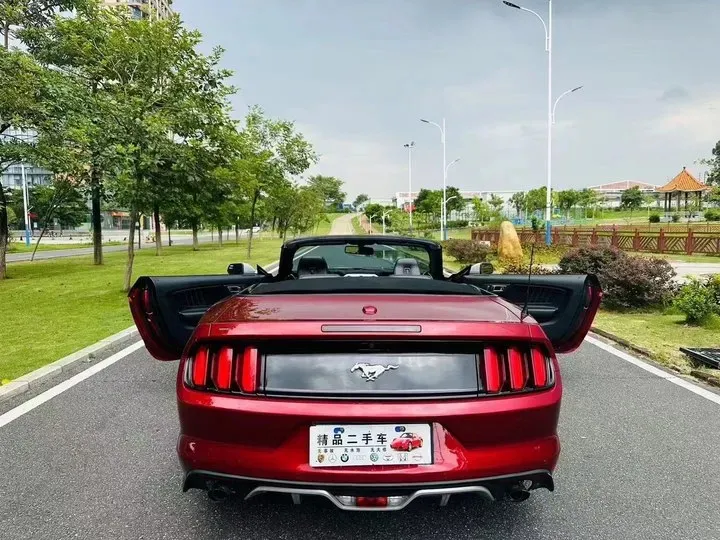 2015 Saleen Mustang 2.3T 350HP L4 6AT,autocango,china used car exporter,china ev exporter,chinese used car exporter,chinese used ev exporter