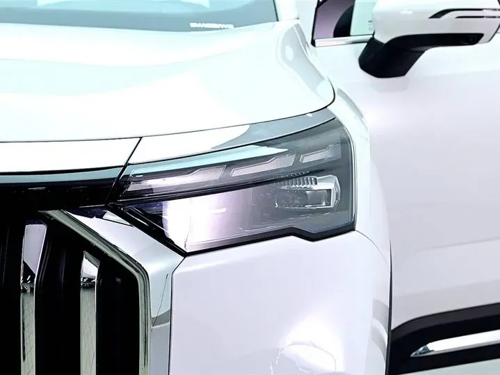 2023 Geely Okavango L 2.0T 218HP L4 7DCT,autocango,china used car exporter,china ev exporter,chinese used car exporter,chinese used ev exporter