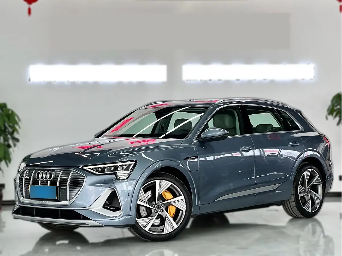 2021 Audi e-tron BEV 96.7KWH