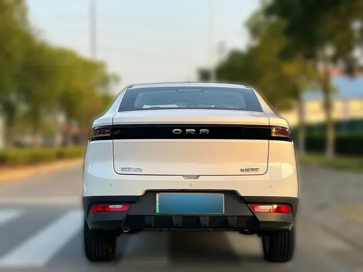 2019 Ora iQ BEV 47KWH,autocango,china used car exporter,china ev exporter,chinese used car exporter,chinese used ev exporter