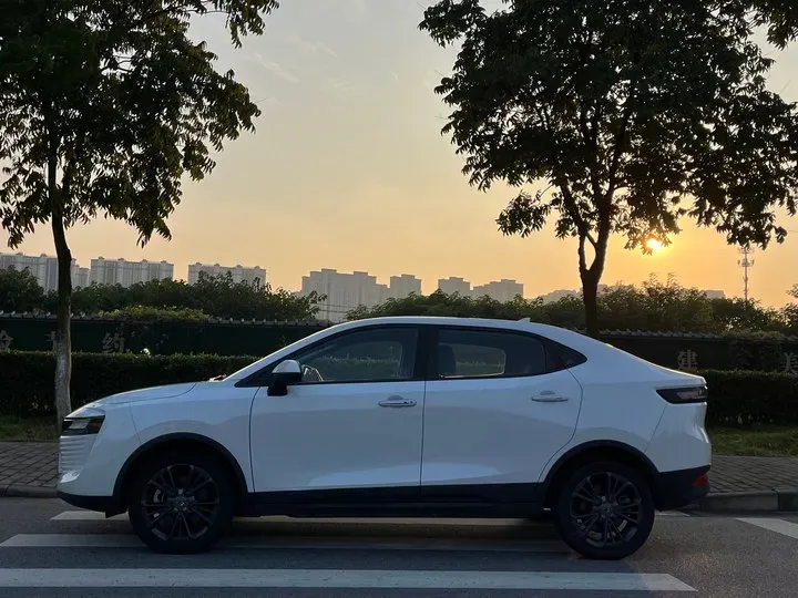 2019 Ora iQ BEV 47KWH,autocango,china used car exporter,china ev exporter,chinese used car exporter,chinese used ev exporter