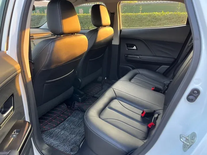 2019 Ora iQ BEV 47KWH,autocango,china used car exporter,china ev exporter,chinese used car exporter,chinese used ev exporter