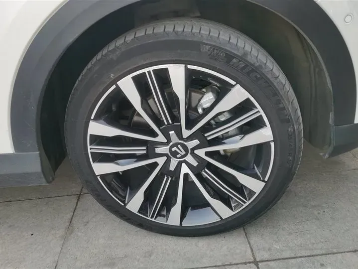 2021 Rising Auto MARVEL R 2AT BEV 69.9KWH,autocango,china used car exporter,china ev exporter,chinese used car exporter,chinese used ev exporter