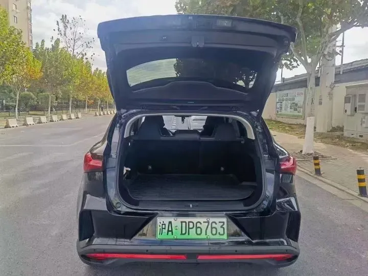 2021 Rising Auto MARVEL R 2AT BEV 69.9KWH,autocango,china used car exporter,china ev exporter,chinese used car exporter,chinese used ev exporter