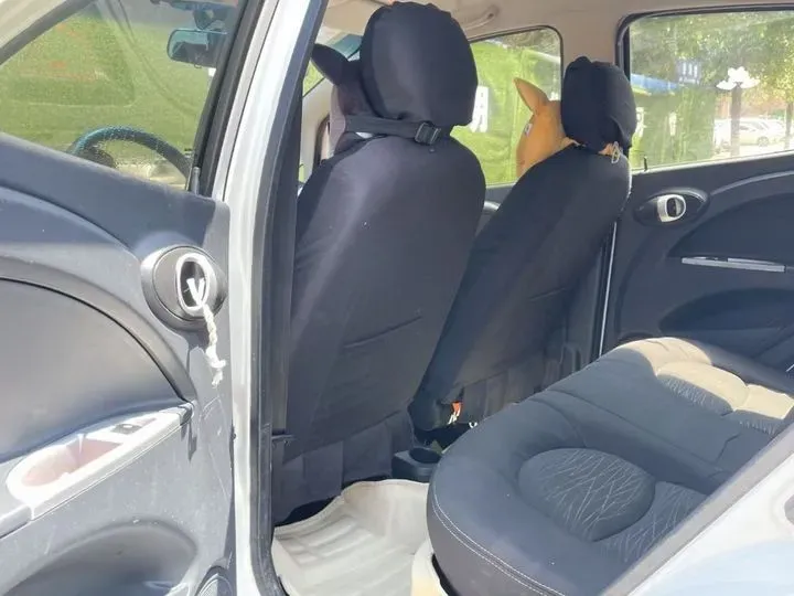 2012 ChangAn BenBen MINI 1.0L 69HP L4 5MT,autocango,china used car exporter,china ev exporter,chinese used car exporter,chinese used ev exporter