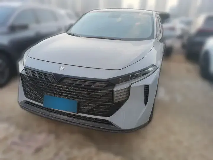 2022 Venucia Grand V 1.5T 190HP L4 7DCT