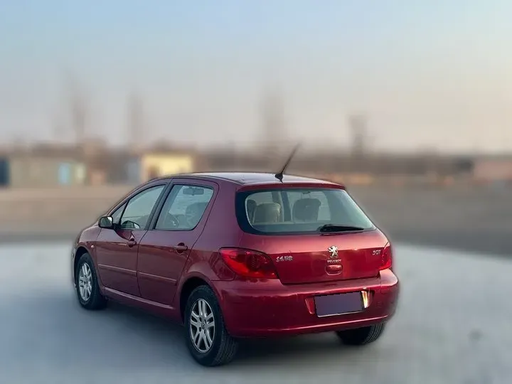 2008 Peugeot 307 1.6L 106HP L4 4AT,autocango,china used car exporter,china ev exporter,chinese used car exporter,chinese used ev exporter