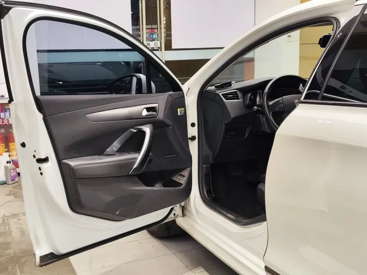 2016 DS 5LS 1.6T 167HP L4 6AT,autocango,china used car exporter,china ev exporter,chinese used car exporter,chinese used ev exporter