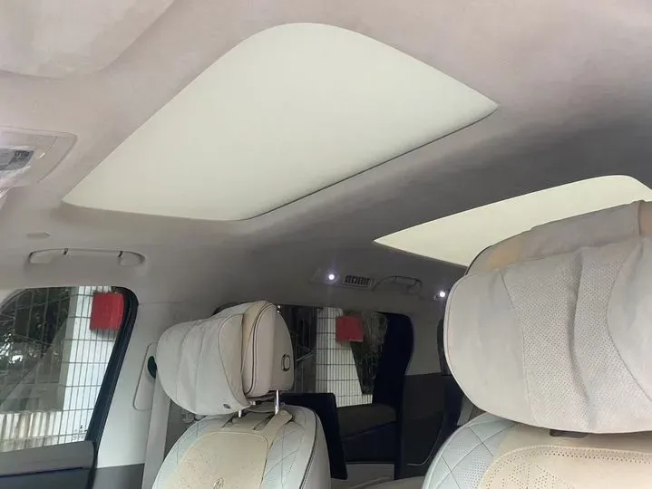 2022 Denza D9 1.5T 139HP L4 E-CVT PHEV 40.06KWH,autocango,china used car exporter,china ev exporter,chinese used car exporter,chinese used ev exporter