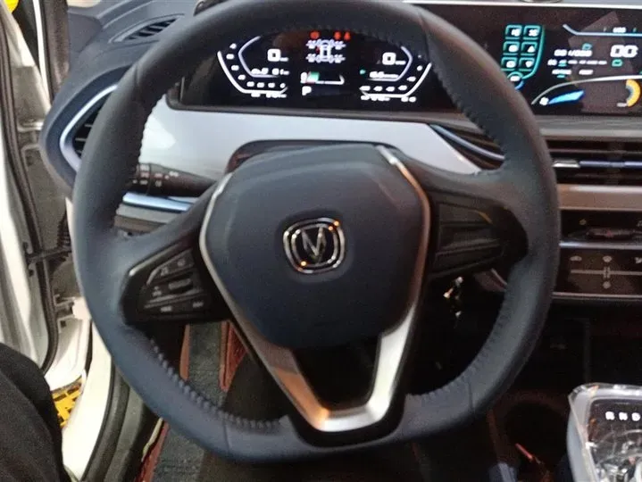 2022 ChangAn BenBen E-Star BEV 31.95KWH,autocango,china used car exporter,china ev exporter,chinese used car exporter,chinese used ev exporter