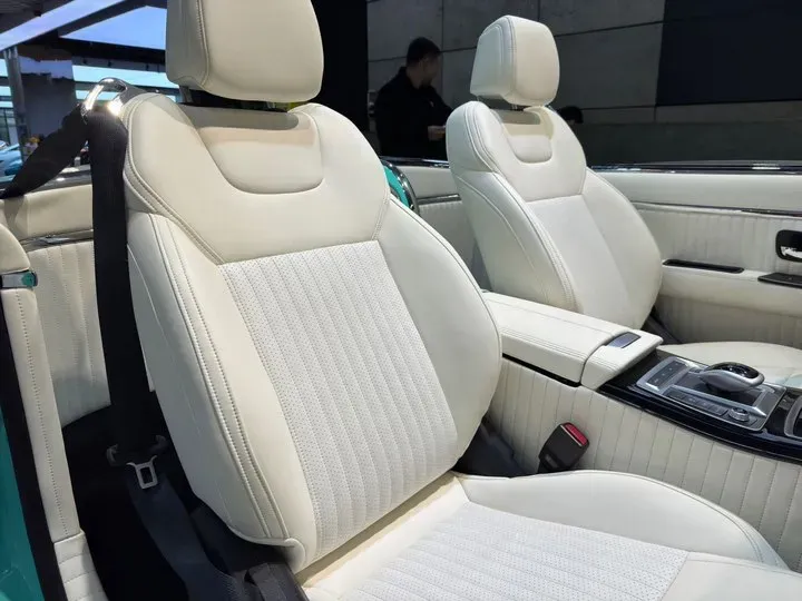 2021 SONGSAN MOTORS SS DOLPHIN 1.5T 160HP L4 6DCT PHEV 16KWH,autocango,china used car exporter,china ev exporter,chinese used car exporter,chinese used ev exporter