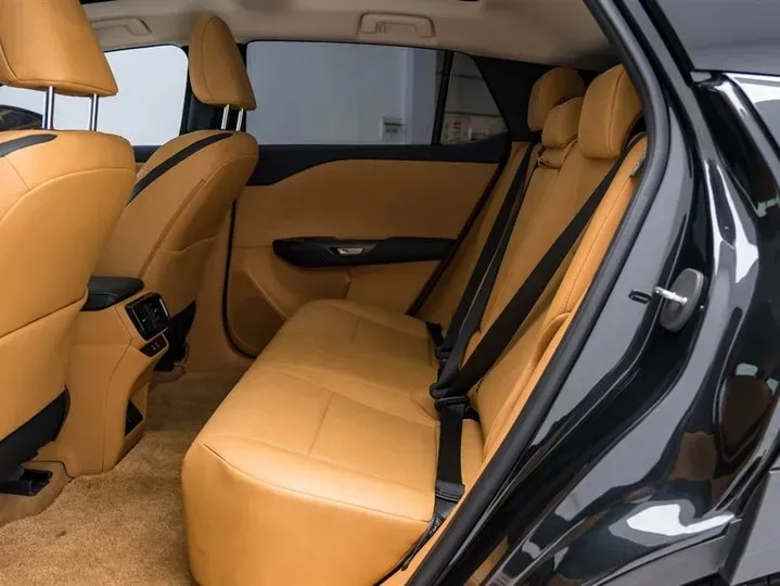 2023 Lexus RZ BEV 66KWH,autocango,china used car exporter,china ev exporter,chinese used car exporter,chinese used ev exporter