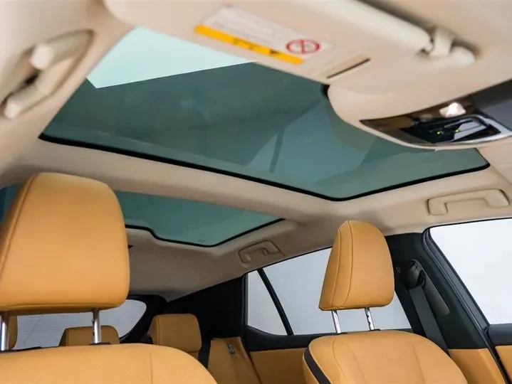 2023 Lexus RZ BEV 66KWH,autocango,china used car exporter,china ev exporter,chinese used car exporter,chinese used ev exporter