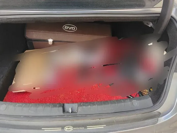 2021 BYD Qin Plus 1.5L 110HP L4 E-CVT PHEV 18.32KWH,autocango,china used car exporter,china ev exporter,chinese used car exporter,chinese used ev exporter