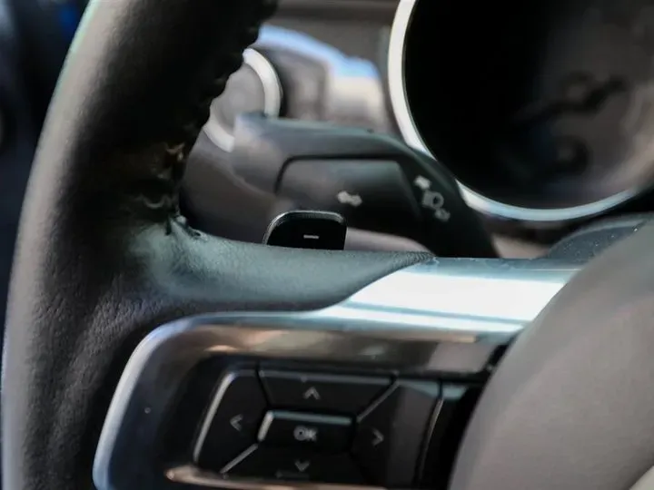 2019 SHELBY GTE 2.3T 338HP L4 10AT,autocango,china used car exporter,china ev exporter,chinese used car exporter,chinese used ev exporter