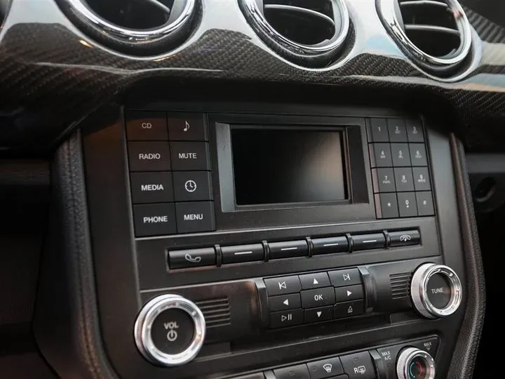 2019 SHELBY GTE 2.3T 338HP L4 10AT,autocango,china used car exporter,china ev exporter,chinese used car exporter,chinese used ev exporter