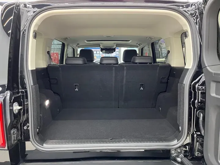 2021 Tank 300 2.0T 227HP L4 8AT,autocango,china used car exporter,china ev exporter,chinese used car exporter,chinese used ev exporter