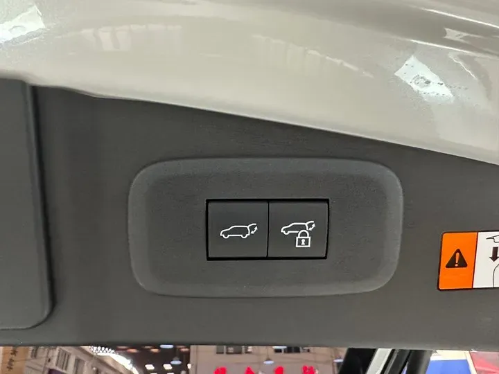 2023 Lexus RZ BEV 66KWH,autocango,china used car exporter,china ev exporter,chinese used car exporter,chinese used ev exporter