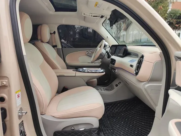 2022 Ora BalletCat BEV 49.92KWH,autocango,china used car exporter,china ev exporter,chinese used car exporter,chinese used ev exporter