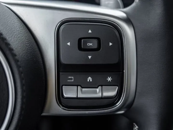 2021 Tank 300 2.0T 227HP L4 8AT,autocango,china used car exporter,china ev exporter,chinese used car exporter,chinese used ev exporter