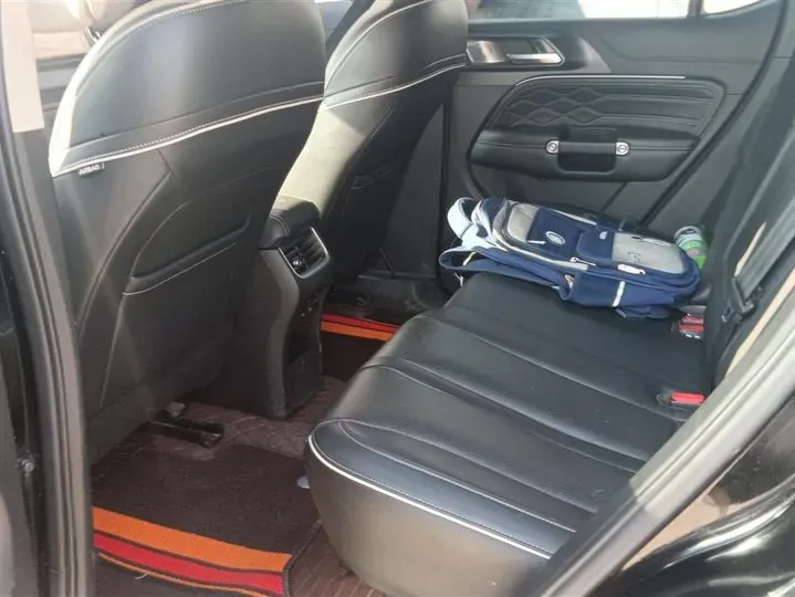 2021 Tank 300 2.0T 227HP L4 8AT,autocango,china used car exporter,china ev exporter,chinese used car exporter,chinese used ev exporter