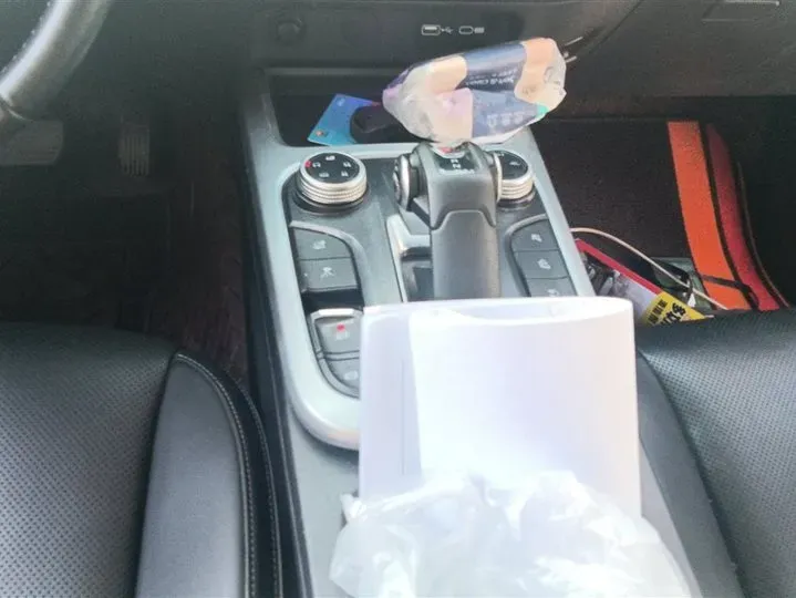 2021 Tank 300 2.0T 227HP L4 8AT,autocango,china used car exporter,china ev exporter,chinese used car exporter,chinese used ev exporter