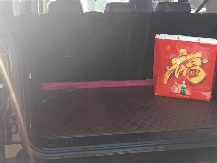 2021 Tank 300 2.0T 227HP L4 8AT,autocango,china used car exporter,china ev exporter,chinese used car exporter,chinese used ev exporter